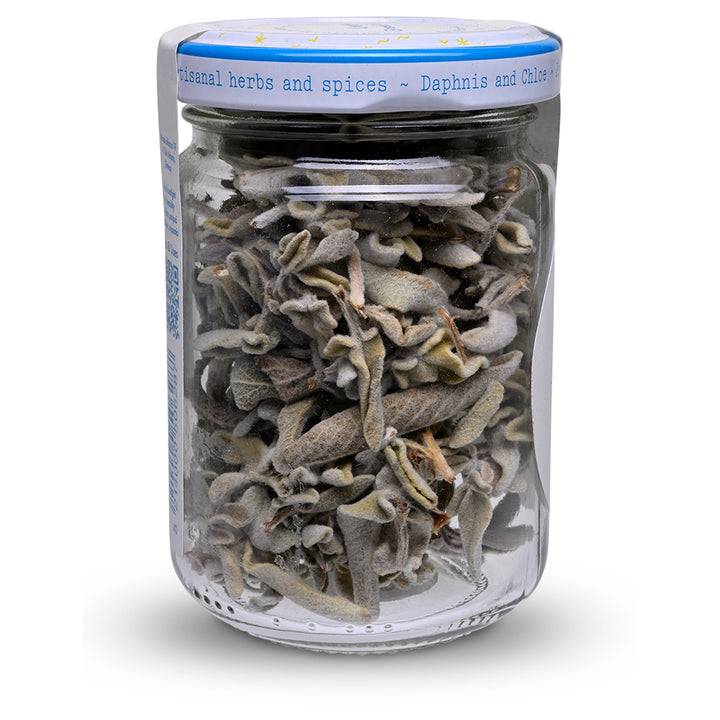 Daphnis and Choe Unique Greek Sage back