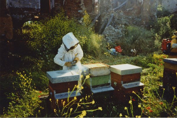 Franca Franzoni Millefiori Honey