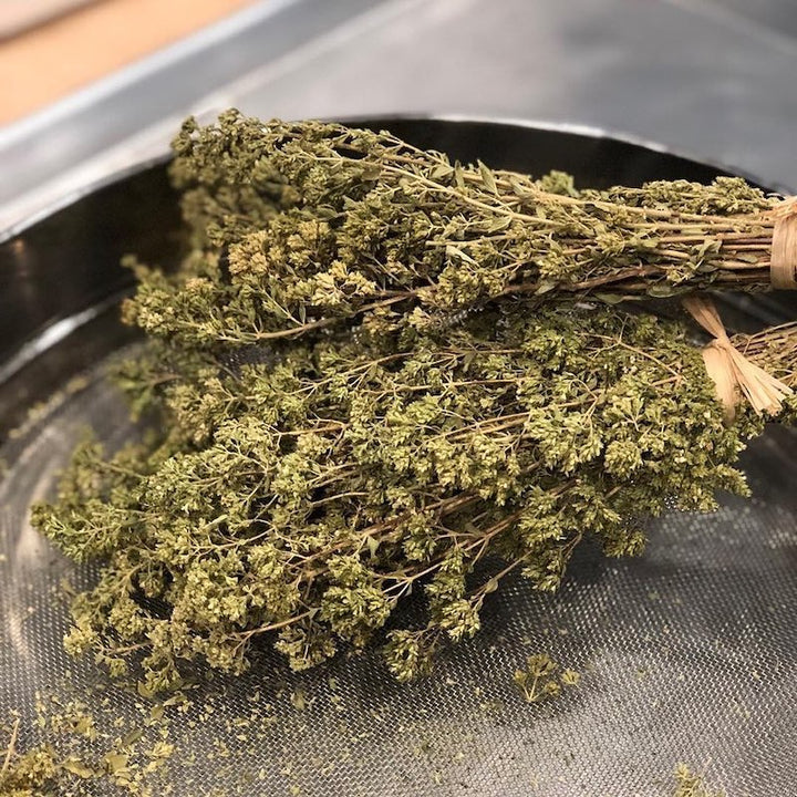 Gangi Dante Organic Sicilian Oregano Branches