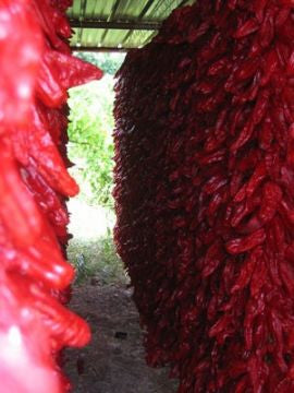 Masseria Mirogallo Fried Dried Peppers (Croccanti Cruschi Peppers)