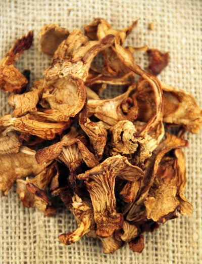 Wineforest Wild Foods Dried Chanterelle Mushrooms